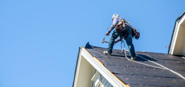 Roof Gutter Cleaning in China Grove, NC
